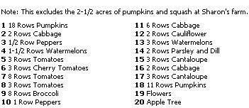 
Rex Oberhelman's organic farm planting for rows.
